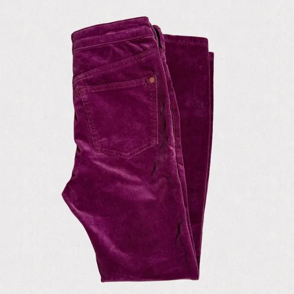 Anthropologie Pilcro 26 and 27 High-Rise Button-Fly Skinny Corduroy Pants Jeans
