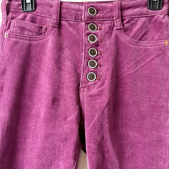 Anthropologie Pilcro 26 and 27 High-Rise Button-Fly Skinny Corduroy Pants Jeans
