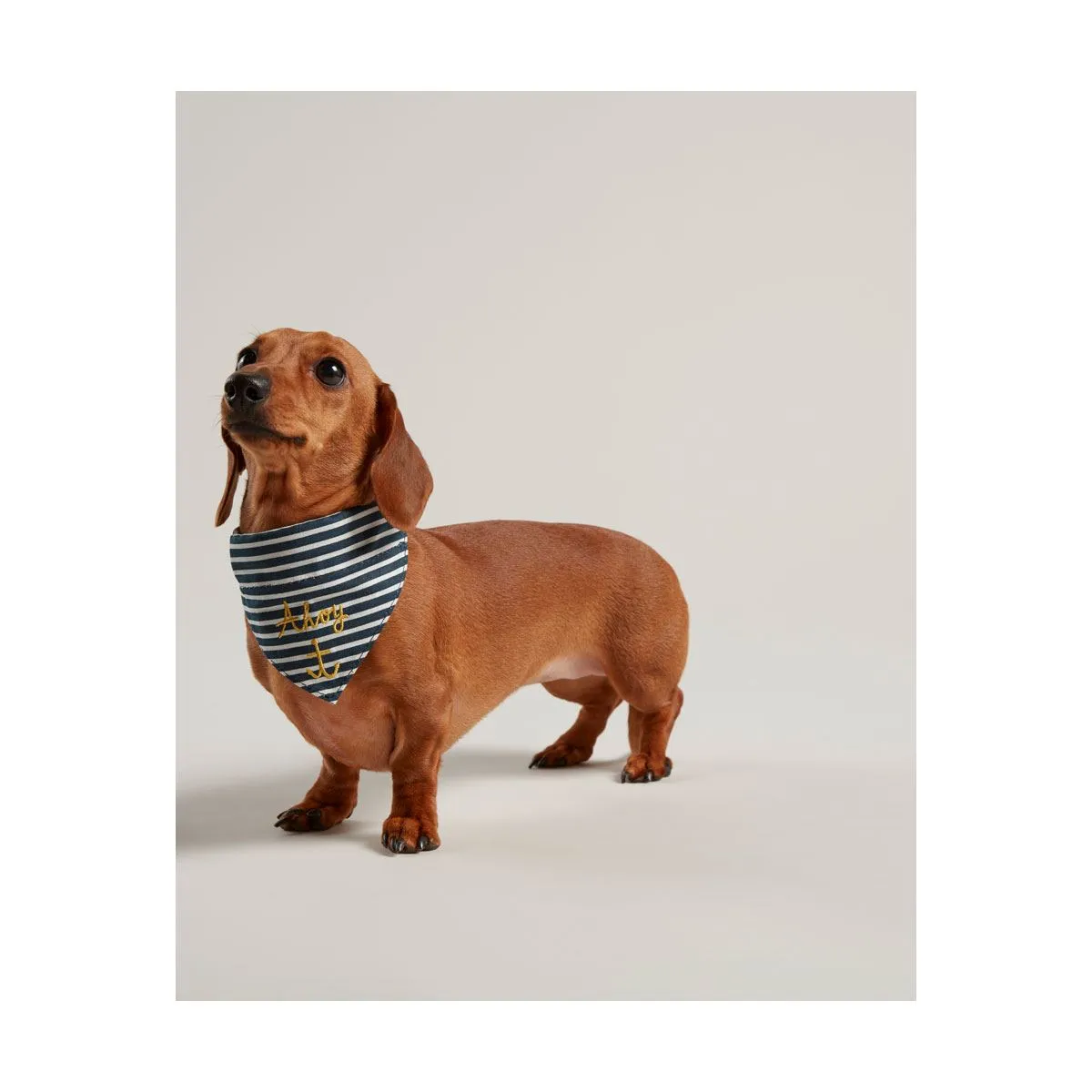Joules Nautical Collar & Neckerchief
