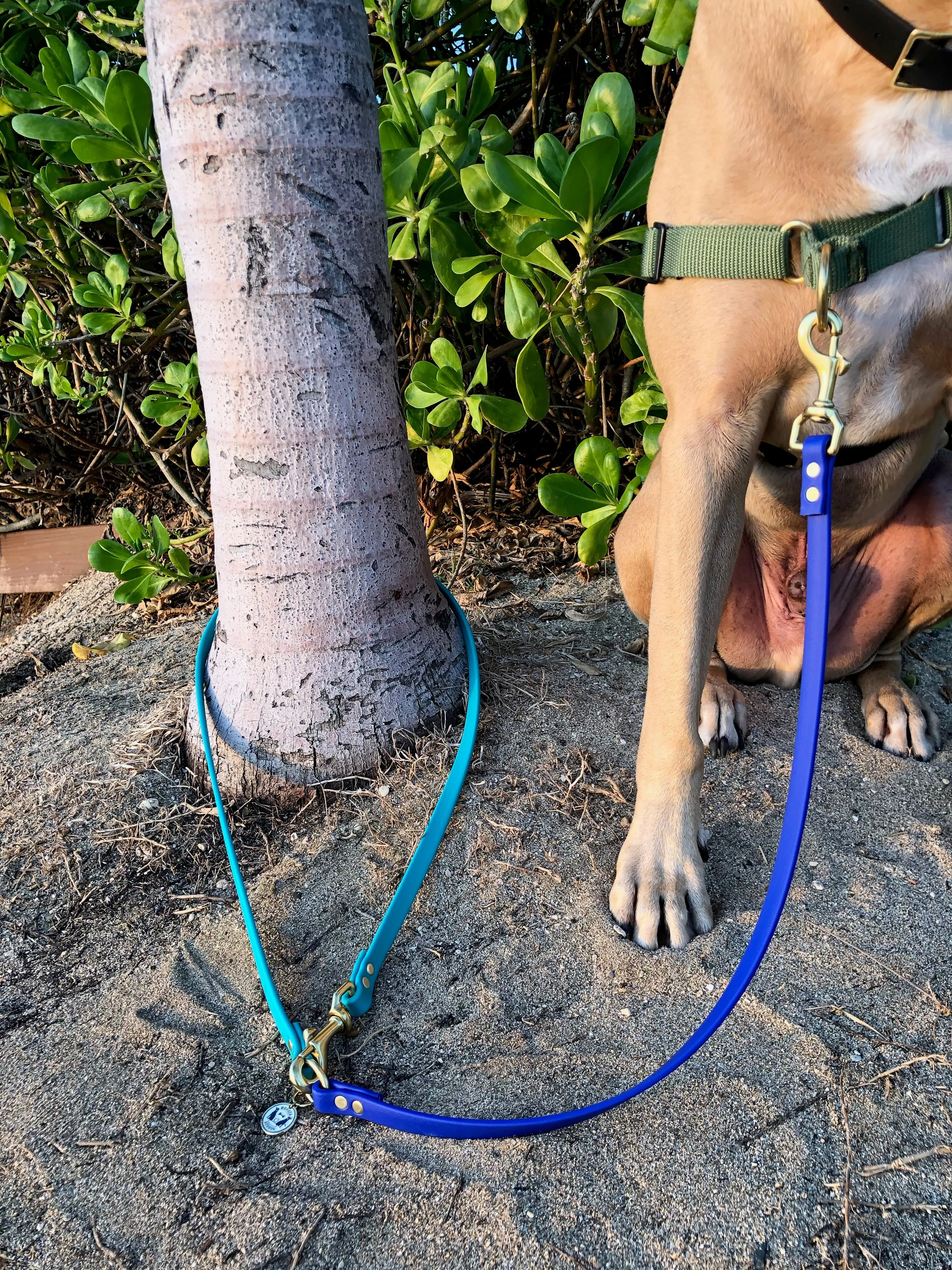 Multi-Way Waterproof Leash: Wine   Black   Brass