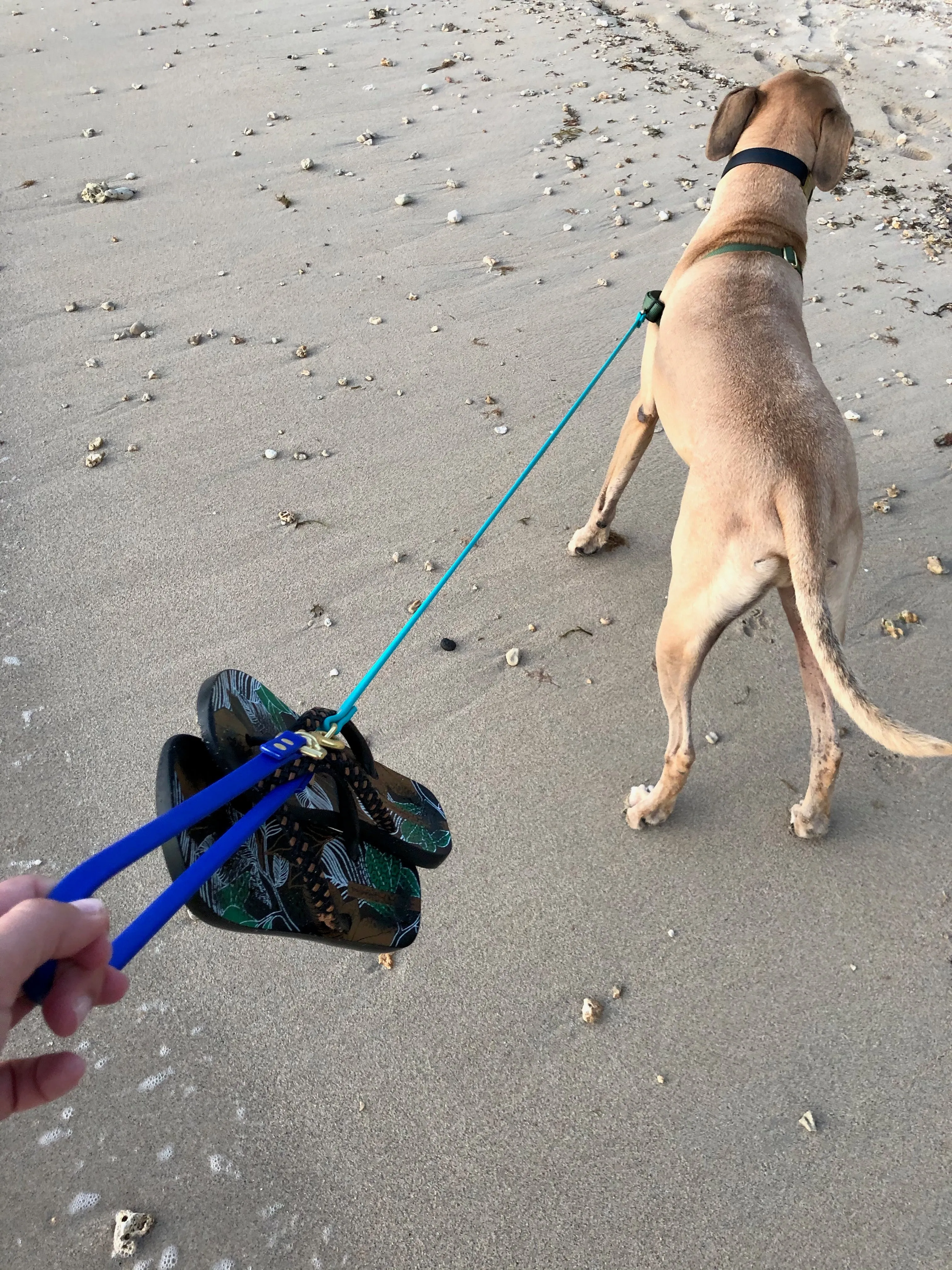 Multi-Way Waterproof Leash: Wine   Black   Brass