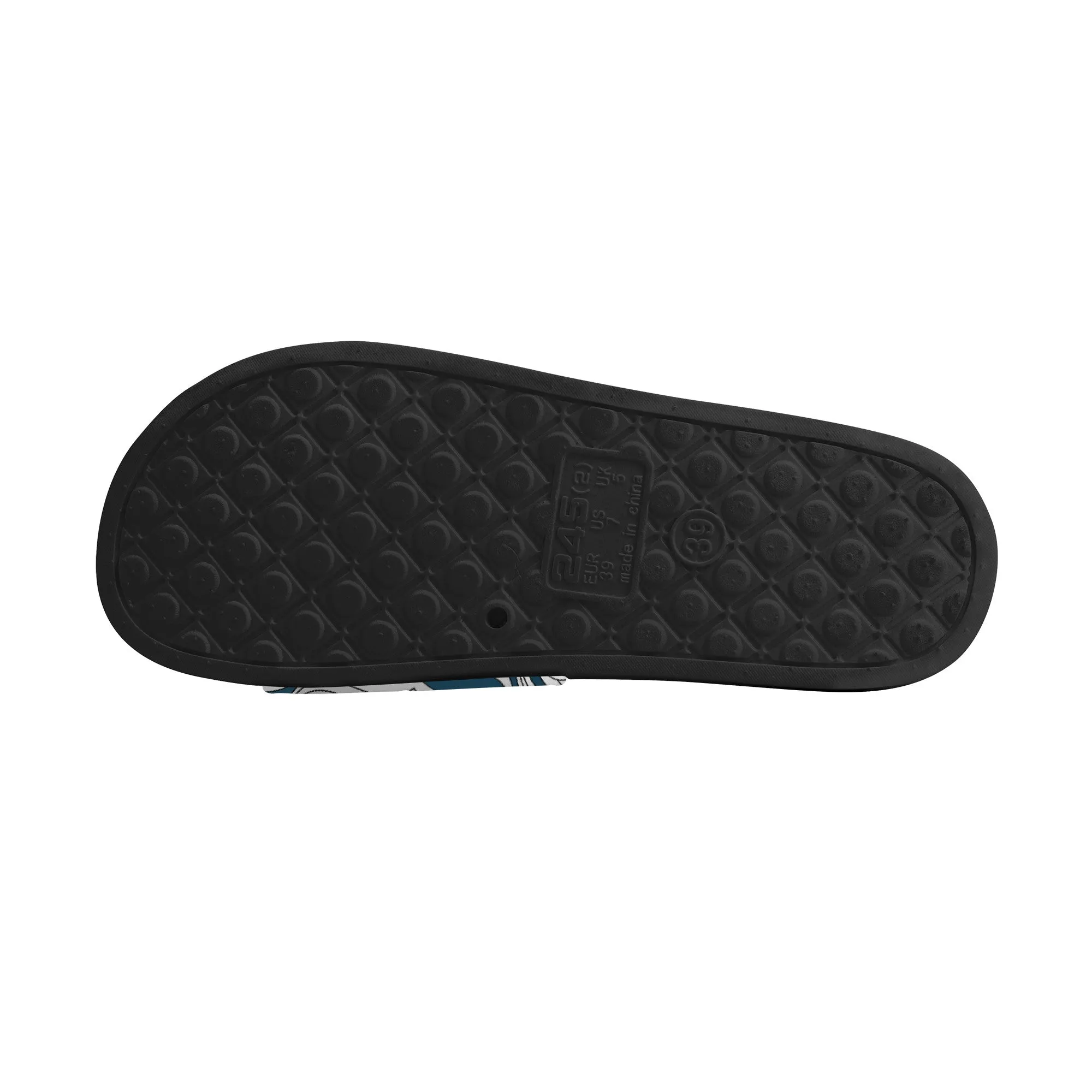 Snow Blue Slides