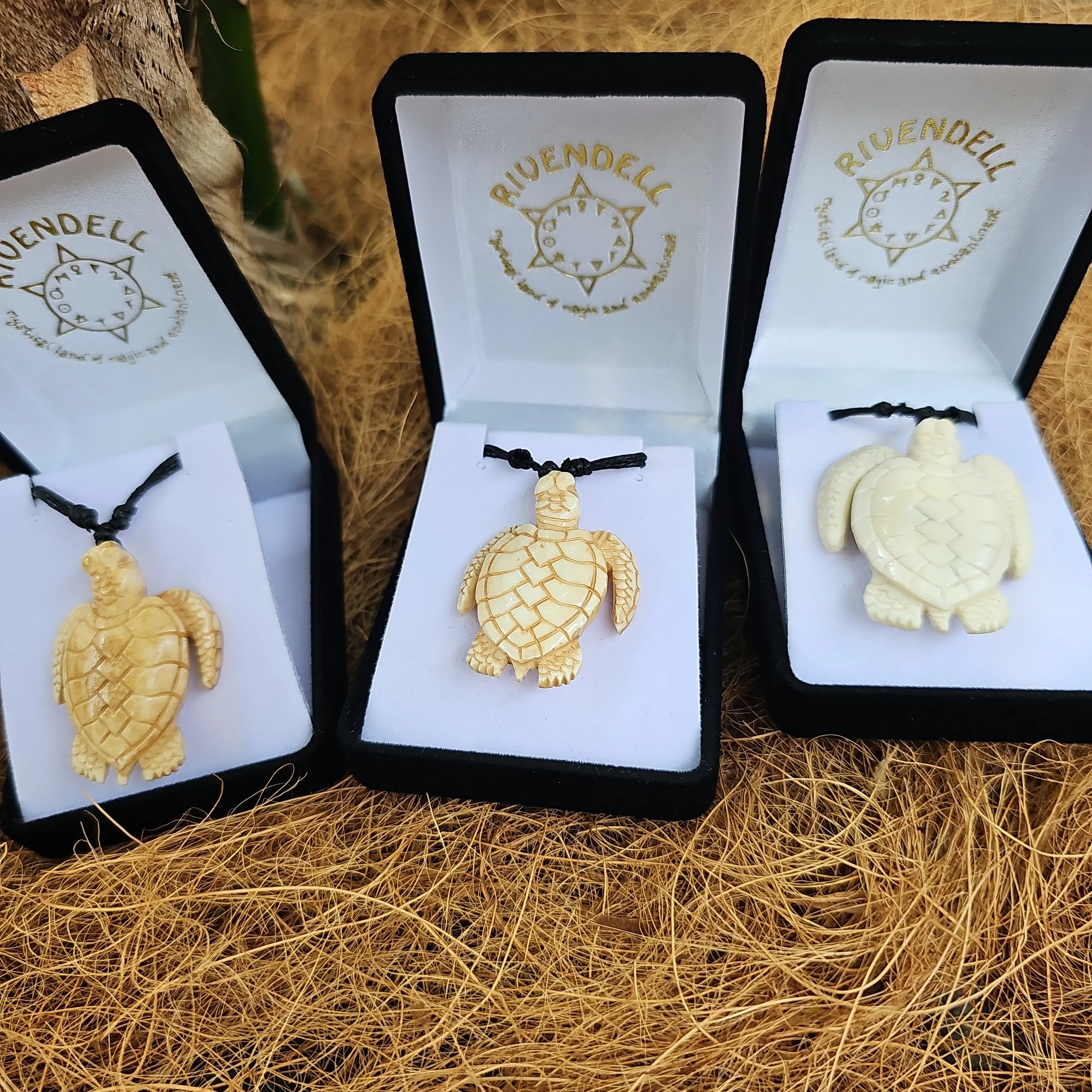Turtle Bone Carving
